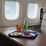 Airline Serving Tray